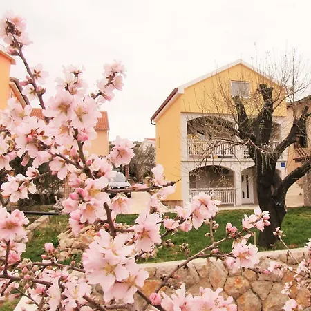 Mala Sirena Appartement