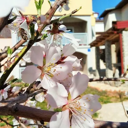 Mala Sirena Apartament *