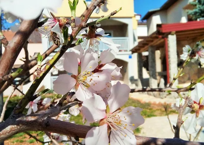 Mala Sirena Apartman *