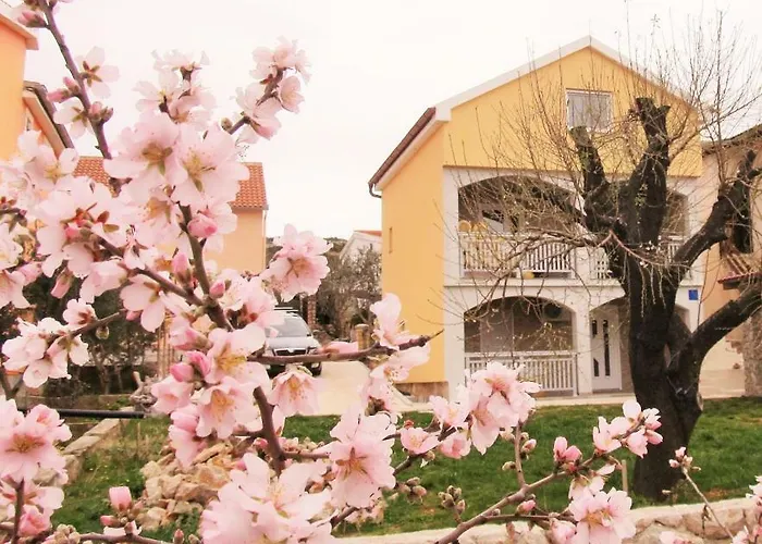 Mala Sirena 아파트