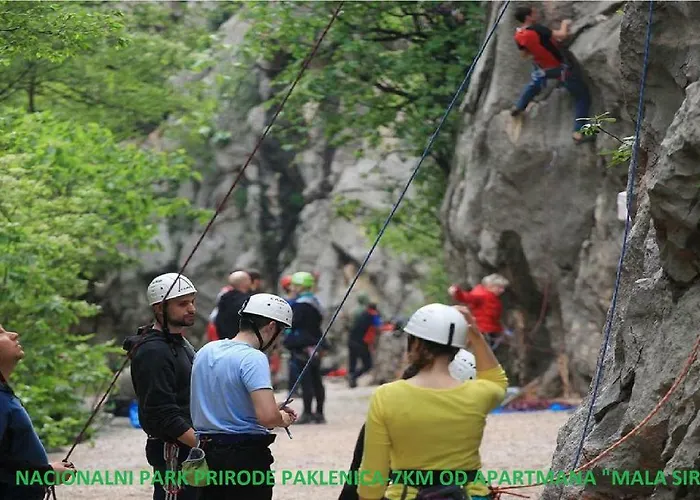 Apartment Mala Sirena *